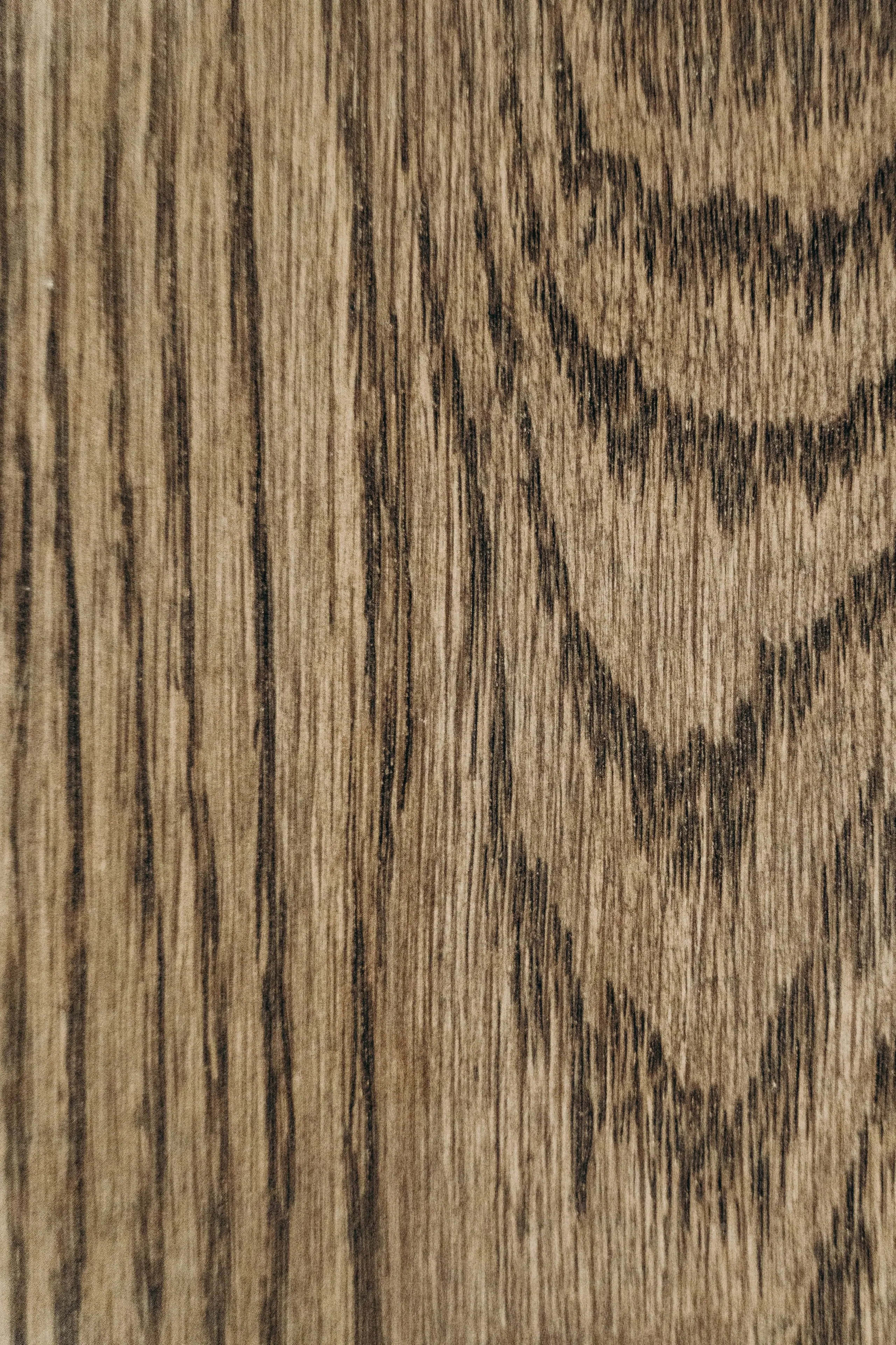 Close-up of quarter-sawn oak with a strong figured grain