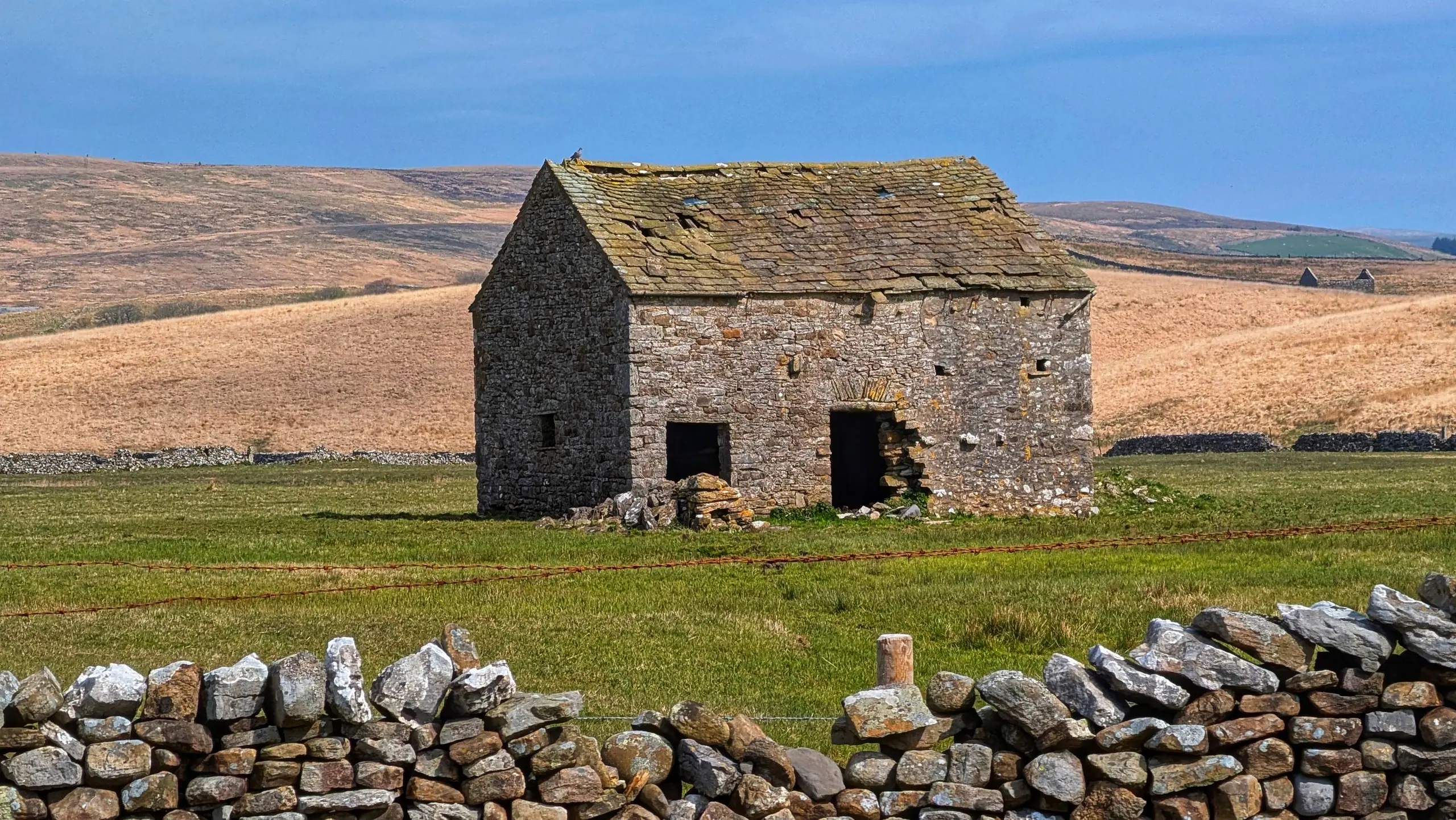 A gritstone field barn standing alone in moorland behind a dry-stone wall